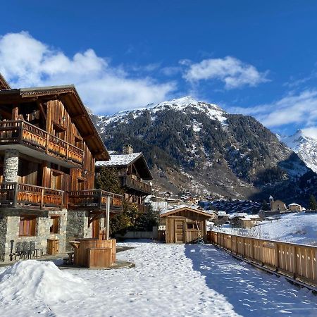 Chalet Des Trappeurs Coeur Vanoise 15 Persons 拉普拉涅 外观 照片