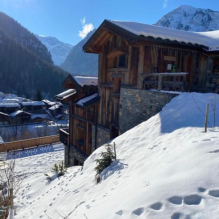 Chalet Des Trappeurs Coeur Vanoise 15 Persons 拉普拉涅 外观 照片