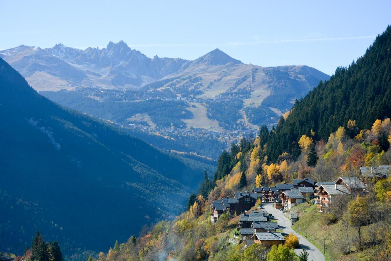 Chalet Des Trappeurs Coeur Vanoise 15 Persons 拉普拉涅 外观 照片