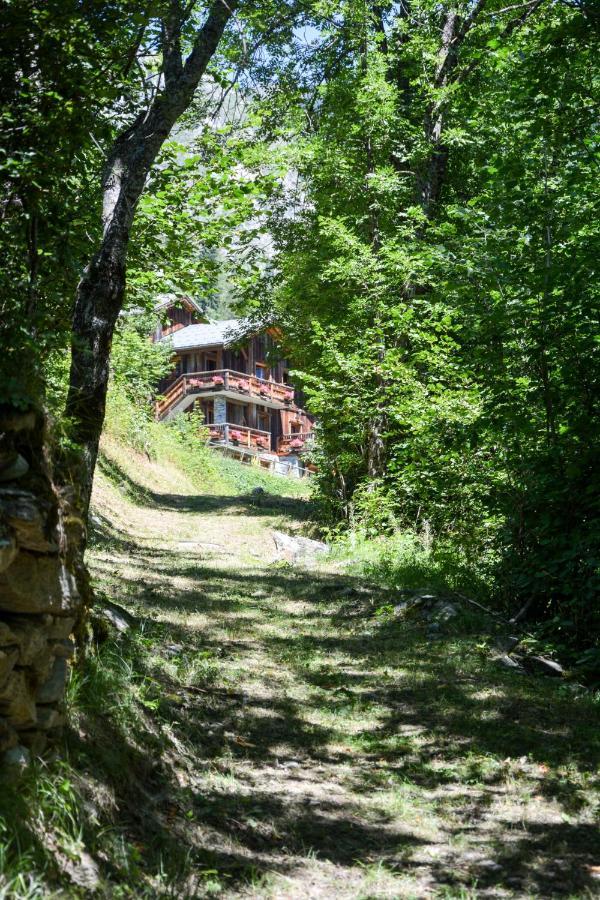 Chalet Des Trappeurs Coeur Vanoise 15 Persons 拉普拉涅 外观 照片
