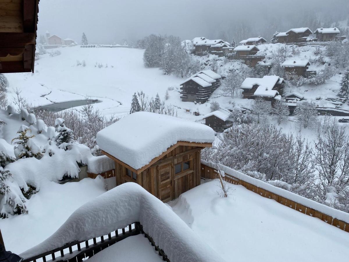 Chalet Des Trappeurs Coeur Vanoise 15 Persons 拉普拉涅 外观 照片